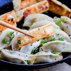 Chinese Cabbage Potstickers