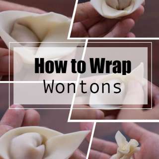 How to Fold (Wrap) Wontons