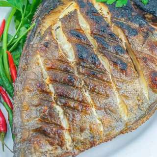 Grilled Pompano