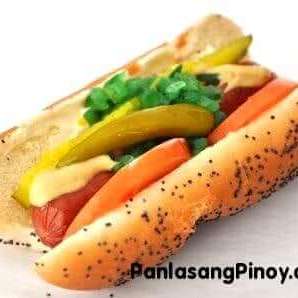 Chicago Style Hotdog