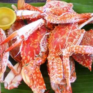 Halabos na Alimasag Recipe