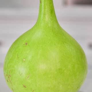 Upo Recipes (bottle gourd)
