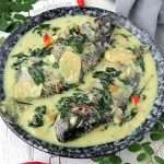 Ginataang Tilapia (Tilipia in Spicy Coconut Milk)