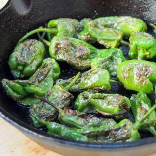 Blistered Padron peppers (pimientos de Padrón)