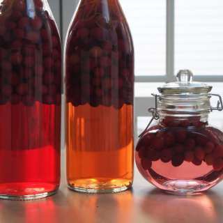 Cranberry gin