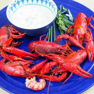 Langoustines with herbed cream