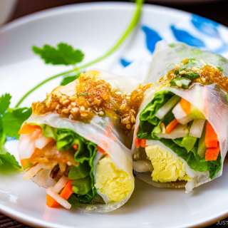 Spring Rolls with Sesame Ponzu Vinaigrette