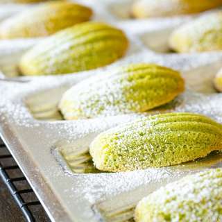Matcha Madeleines