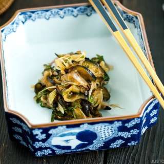 Eggplant and Myoga Salad