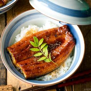 Unadon (Unagi Don)