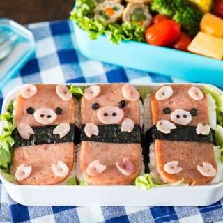 Piggy Spam Musubi Bento