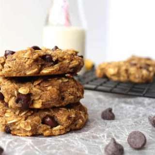 Oatmeal Chocolate Chip Protein Cookies