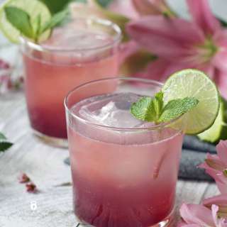 Pomegranate Gin Fizz