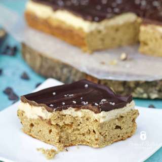Chocolate Peanut Butter Protein Cookie Bars