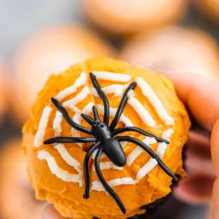 Halloween Spider Cupcakes Recipe