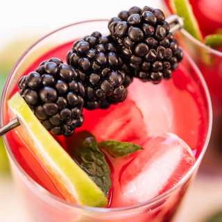 Blackberry Mojito Recipe