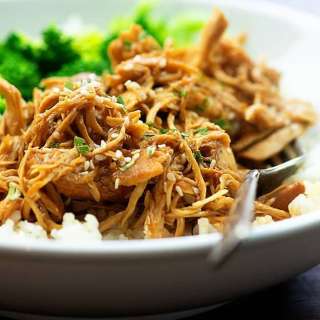 Crock Pot Honey Garlic Chicken