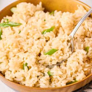 Instant Pot Garlic Ginger Rice