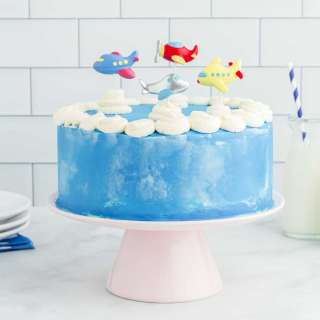 Airplane Cake Recipe