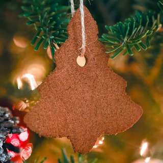 Cinnamon Ornaments Recipe (2 Ingredients!)