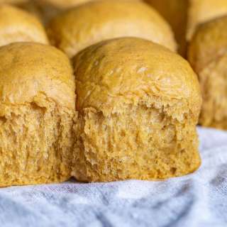 Pumpkin Dinner Rolls