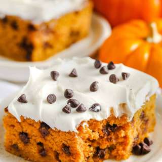 Pumpkin Chocolate Chip Cake