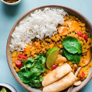 Vegan Instant Pot Butternut Squash Lentil Curry
