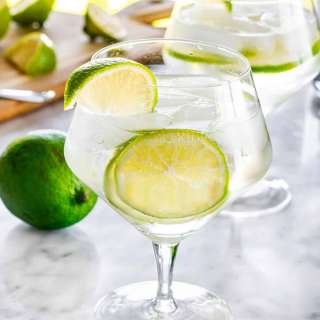Gin and Tonic