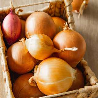 How to Cut an Onion