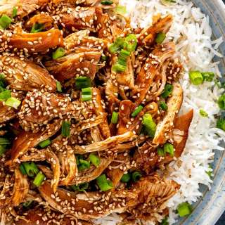 Slow Cooker Teriyaki Chicken