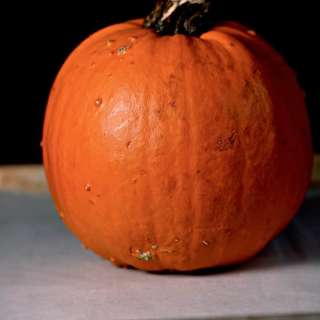 Homemade Pumpkin Puree Recipe