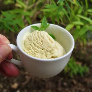 Lemon Verbena Ice Cream