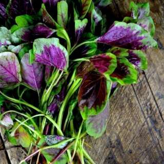 Stir-fried Pink Amaranth Greens