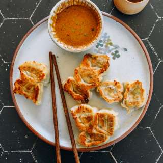Pan-fried Wontons