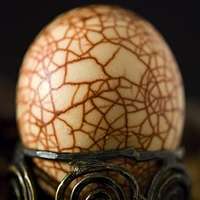 Madrone Bark Tea Eggs
