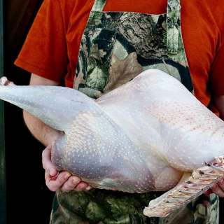 Wild Turkey Broth