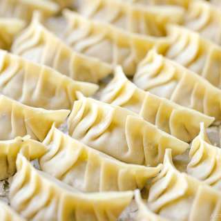 How to Fold Gyoza