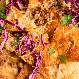 Wonton Nachos Recipe