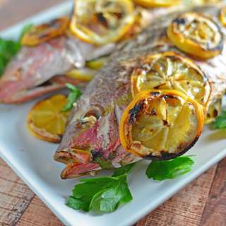 Grilled Red Snapper Recipe