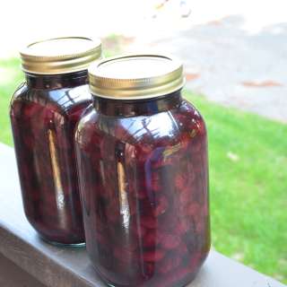 Canned Cherries Recipe (Very Easy)