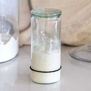 Feeding and Maintaining Sourdough Starter