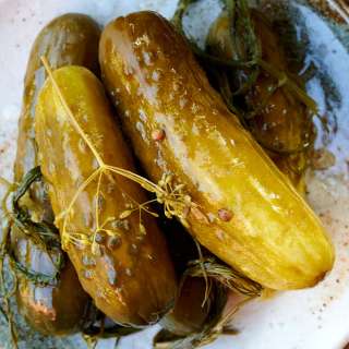 Fermented Dill Pickles