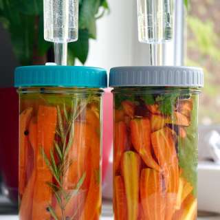 Fermented Carrots
