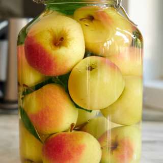 Fermented Apples