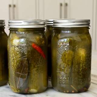 Canned Fermented Dill Pickles