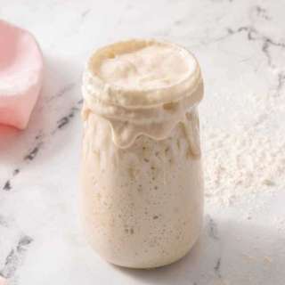 Sourdough Starter