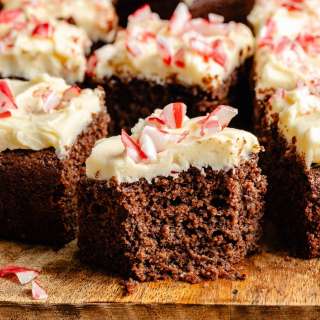 Fudgy Chocolate Peppermint Snacking Cake (gluten free!)