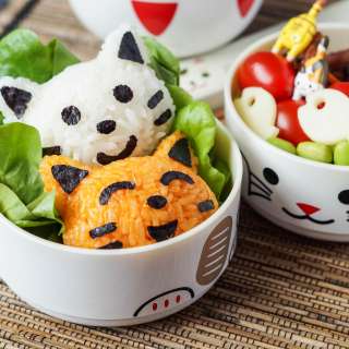 Cat Bento