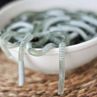 Jello Worms