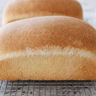 Perfect Whole Wheat Bread {Small Batch; Two Loaves}